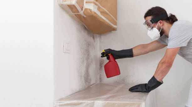 Professional Black Mold Remediation technician working in Fuquay-Varina, NC