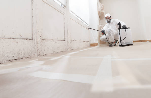 24/7 Emergency Black Mold Remediation experts in Fuquay-Varina, NC
