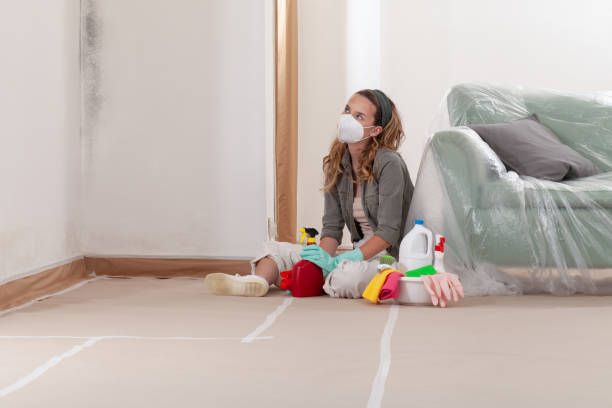 Reliable Black Mold Remediation contractor in Fuquay-Varina, NC by Mold Remediation HQ